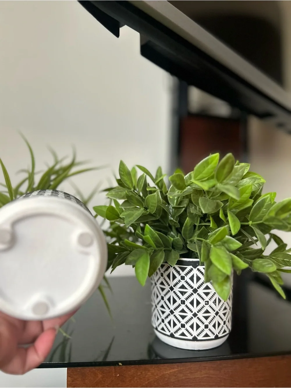 Black and White Patterned Ceramic faux plants  - Set of 2